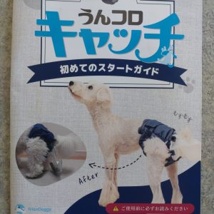 ウンコロキャッチ