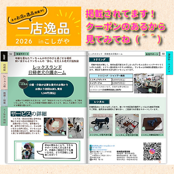 一店逸品2026inこしがや